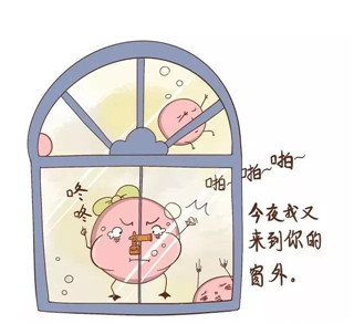 增加排卵期怀孕几率